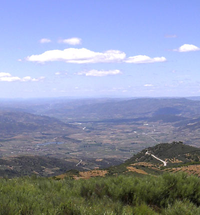 Vale da Vilariça